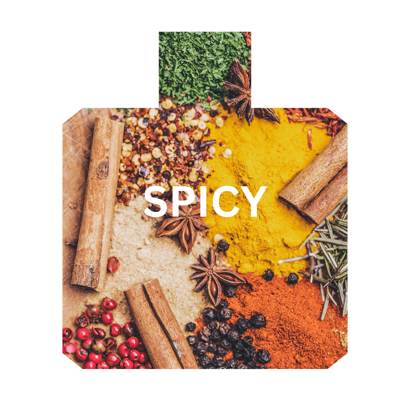 Spicy long lasting niche perfumes collection in UAE