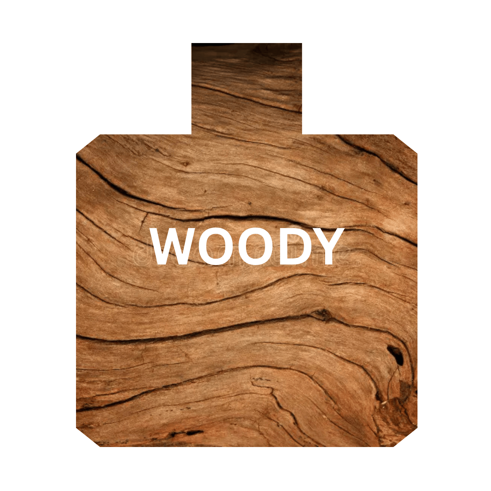Image banner for Gultana’s woody scent family – deep, warm, and long-lasting fragrances